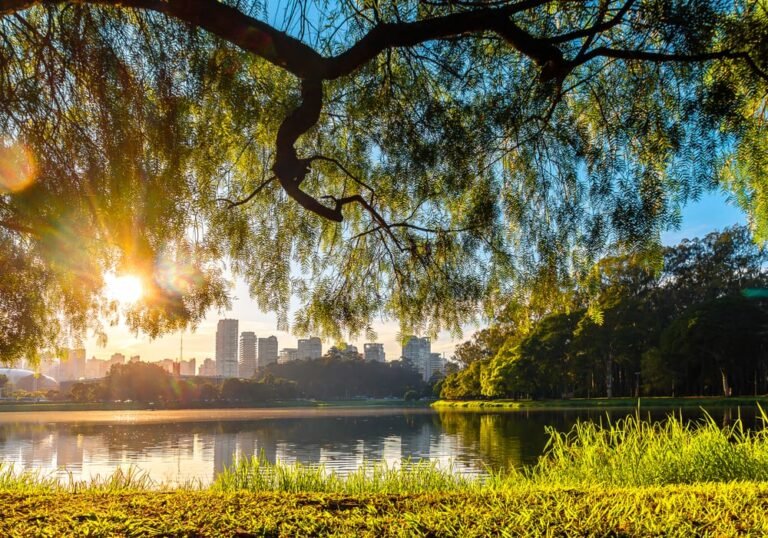 Como é morar próximo ao Parque Ibirapuera o maior de SP