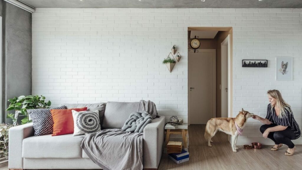 Cachorro para apartamento o que você precisa saber para ter um