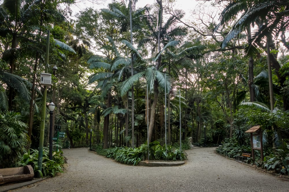 Parque Trianon no Jardim Paulista