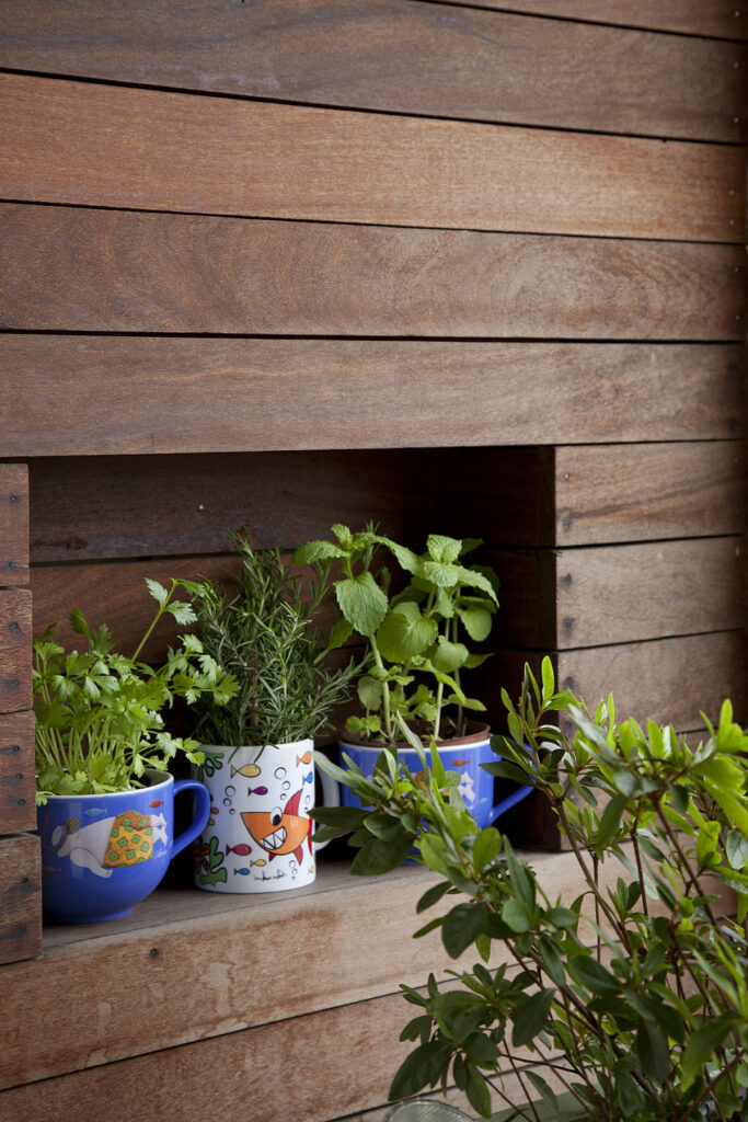 Temperos como salsinha e manjericão plantados em vasos coloridos e decorados, apoiados num painel de madeira escura