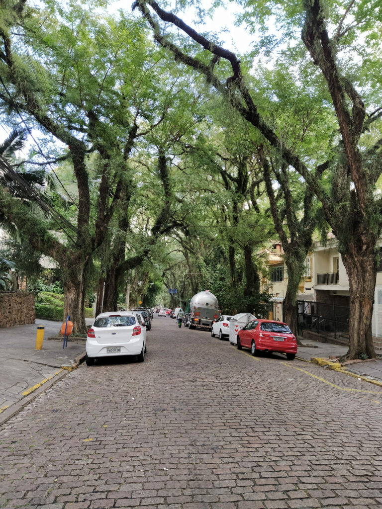Rua Gonçalo de Carvalho, apelidada como “a rua mais bonita do mundo” e decretada Patrimônio Histórico, Cultural, Ecológico e Ambiental de Porto Alegre, especialmente por causa das árvores