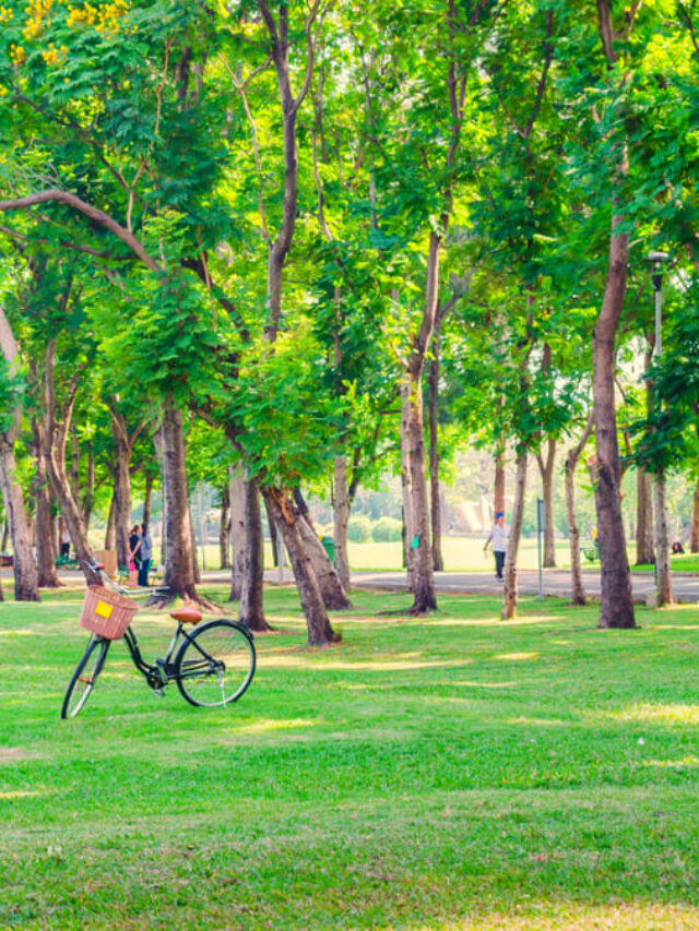 Parques em Belo Horizonte