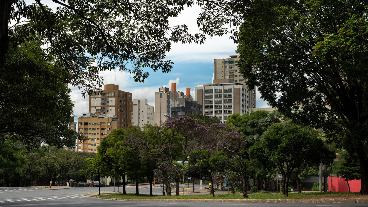 Jardim AtlânticoBH- como é morar em um dos bairros mais arborizados de Belo Horizonte